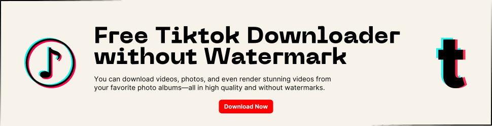 Tiktok Video Downloader without Watermarks